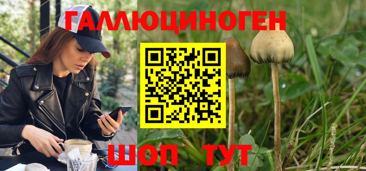 Галлюциногенные грибы мухоморы Сунжа